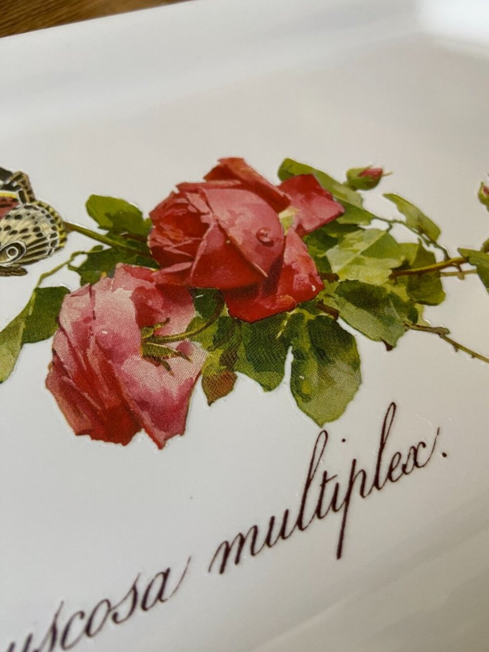 French porcelain serving tray, vintage floral serving platter, botanical rose - Picture 6 of 8